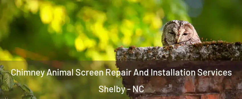  Chimney Animal Screen Repair And Installation Services Shelby - NC