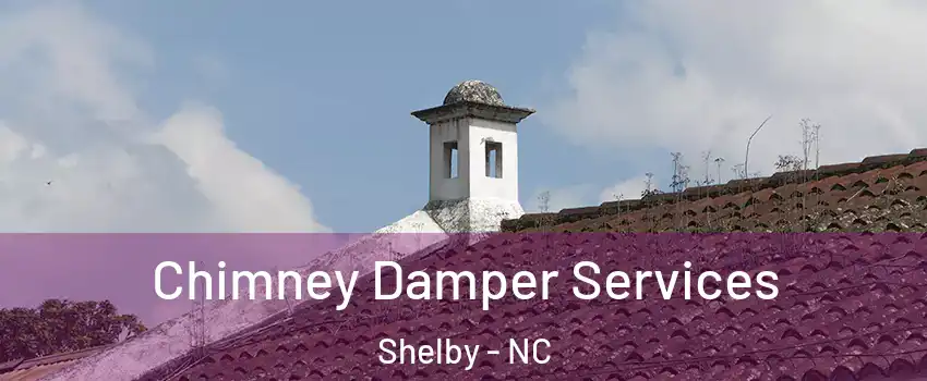  Chimney Damper Services Shelby - NC