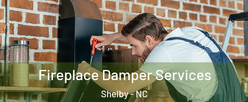  Fireplace Damper Services Shelby - NC