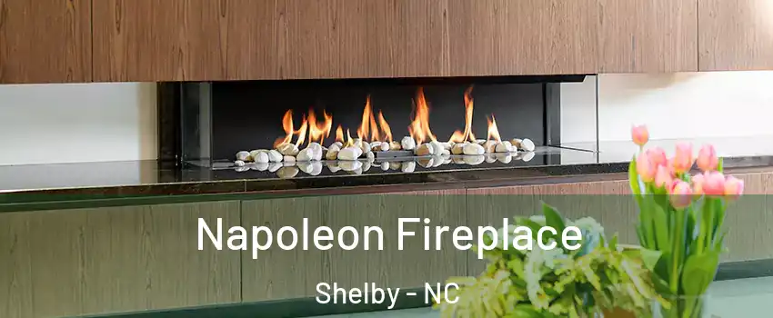  Napoleon Fireplace Shelby - NC